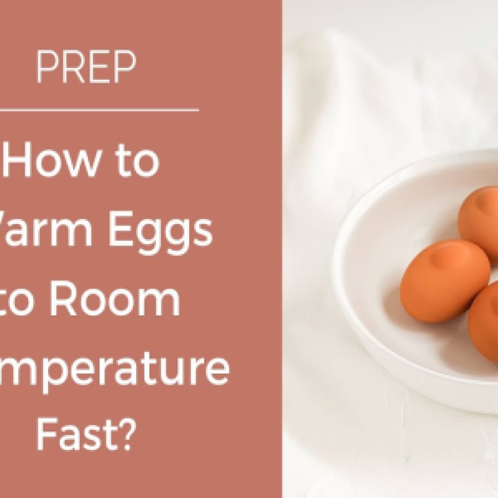Palworld How to Cool Egg Down Top 3 Fast Ways to Lower Egg Temperature