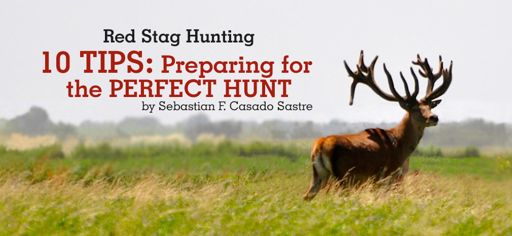 How to ensure your island stag is legendary? Follow these crucial tips for a perfect trip!